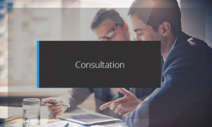 consultation-services